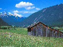 Austrian shack