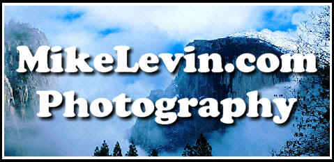 MikeLevin.com Photography logo