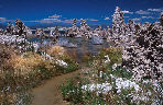 Mono Lake