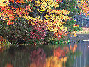 New Hampshire foliage