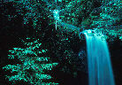 Sempervirens Falls in Big Basin Park