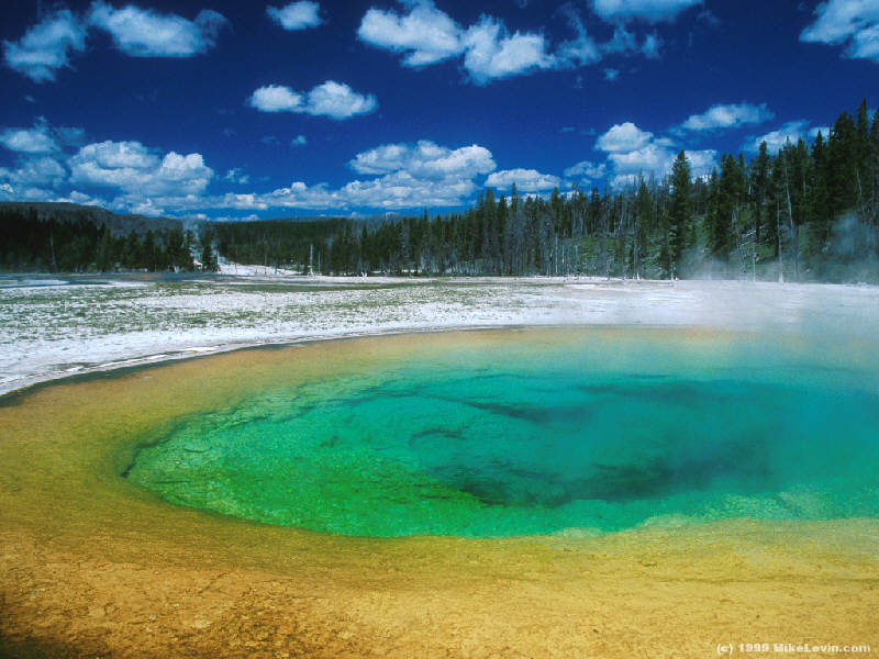 Yellowstone Geyser 800x600