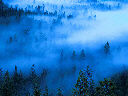 Mist in Yosemite Valley