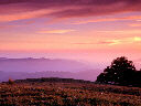 Russian Ridge